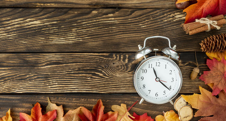 Поздравляем с Днём знаний!